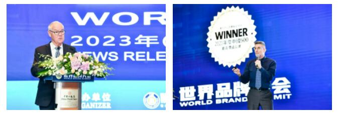 权威认证 利亚德入选中国500*具价值品牌